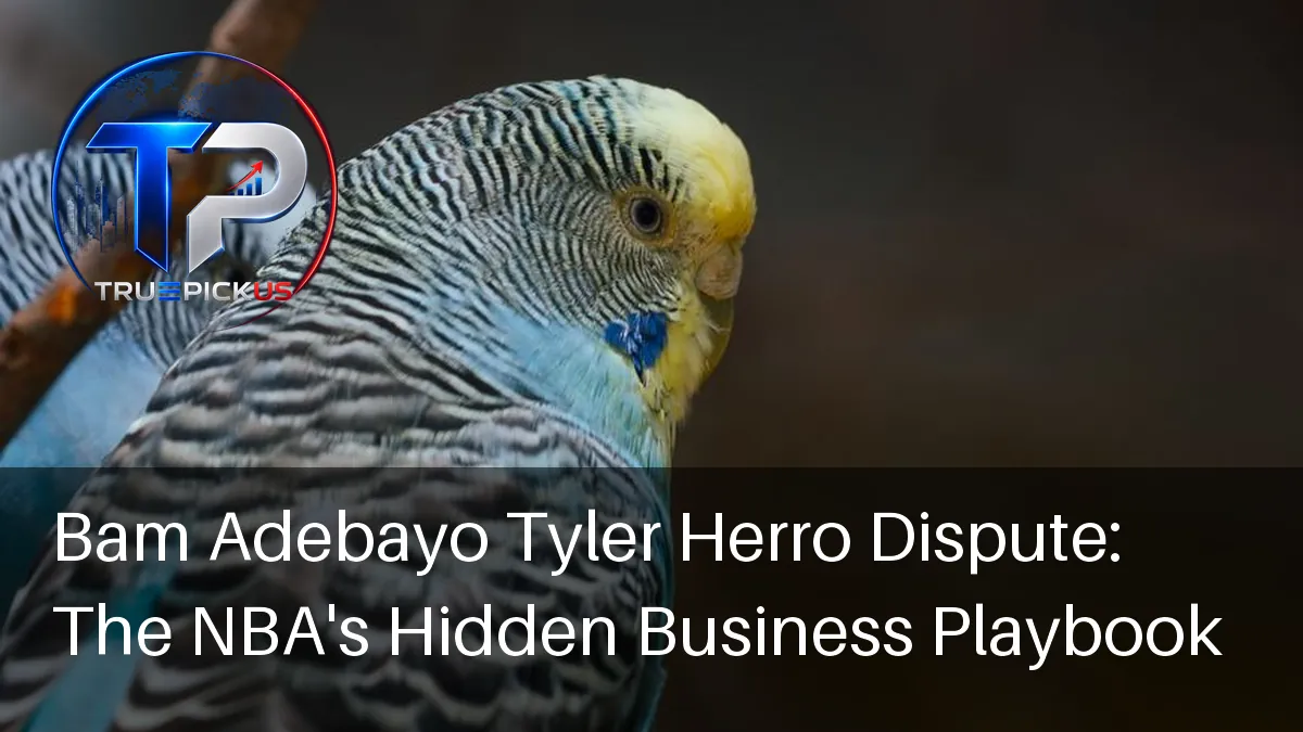 Bam Adebayo Tyler Herro dispute sparks discussion about NBA business ripple effects
