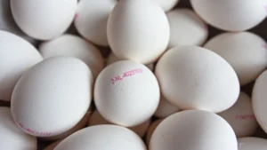 FDA recalled eggs carton displaying the P-1950 code linked to the Midwest Poultry Services Salmonella recall