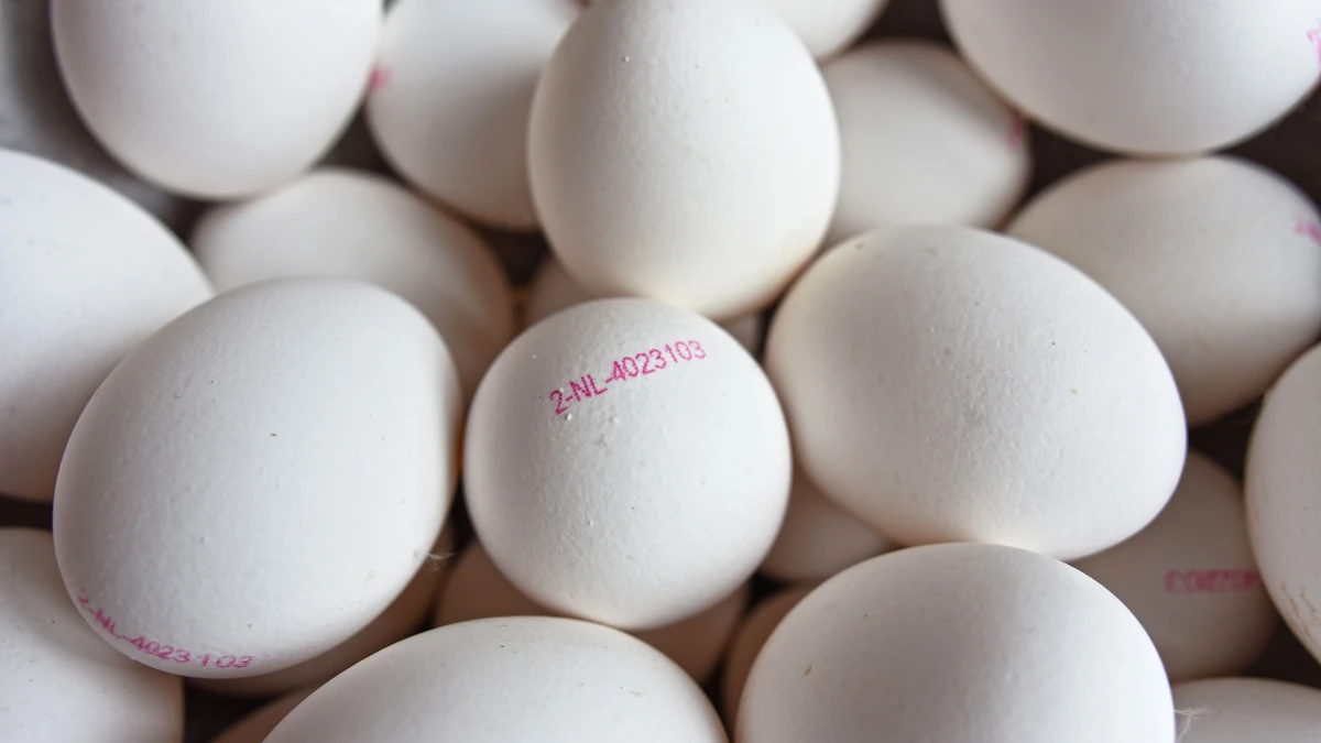 FDA recalled eggs carton displaying the P-1950 code linked to the Midwest Poultry Services Salmonella recall